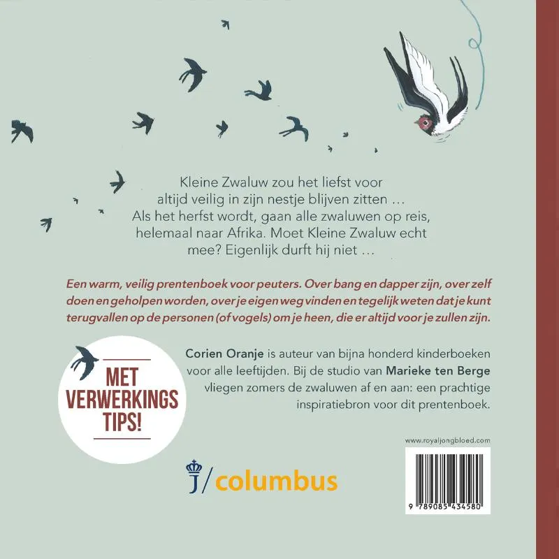 Kleine zwaluw durft niet | 9789085434580 Kleine zwaluw durft niet - Afbeelding 2