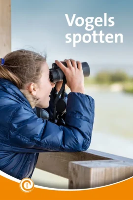 Vogels spotten