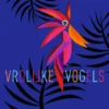 Vrolijke vogels | 9789493327191 Vrolijke vogels | 9789493327191