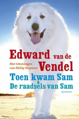 Toen kwam Sam & De raadsels van Sam