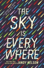 The sky is everywhere | 9781529517279