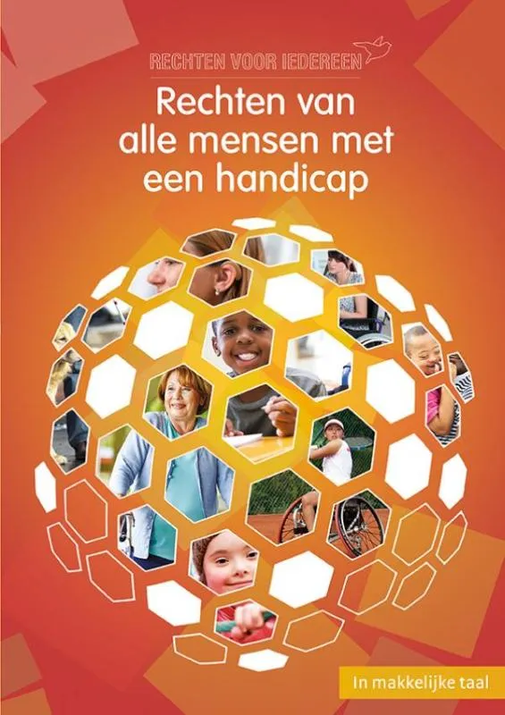 Rechten van alle mensen met een handicap | 9789086962501 Rechten van alle mensen met een handicap
