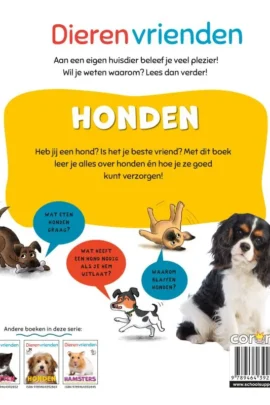 Alternative view of Honden
