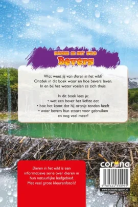 Alternative view of Bevers