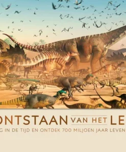 Het ontstaan van het leven