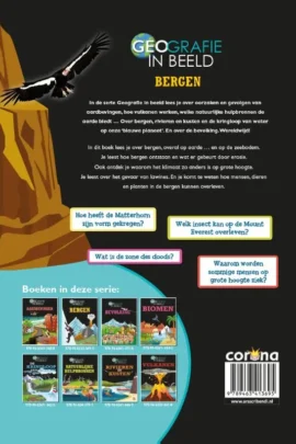 Alternative view of Bergen