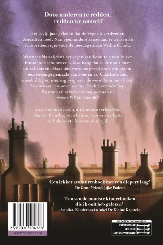 De Veger | 9789463850513 De Veger - Afbeelding 2