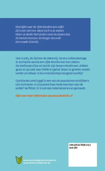 Hoe duur was de suiker? | 9789086962037 Hoe duur was de suiker? - Afbeelding 2