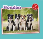 Honden | 9789463411776 Honden | 9789463411776