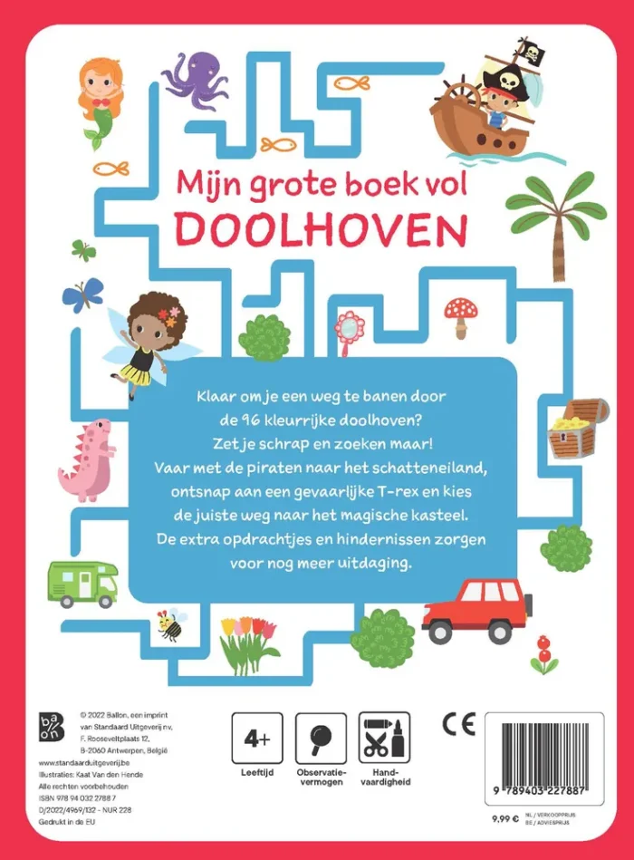 Mijn grote boek vol doolhoven - Afbeelding 2