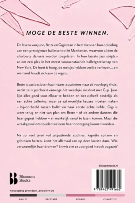 Alternative view of Shiny Broken Pieces