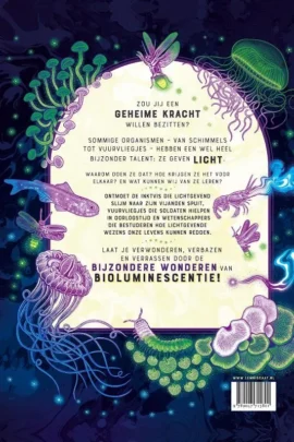 Alternative view of Licht