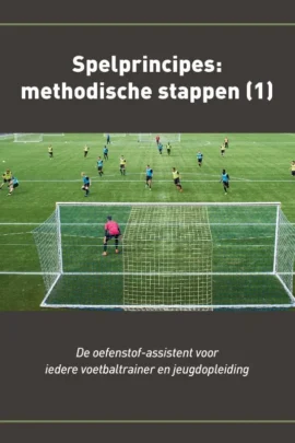 deel 1 Methodische stappen