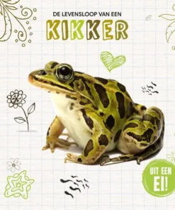 De levensloop van een kikker