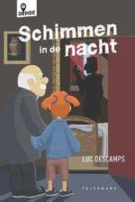 Schimmen in de nacht | 9789464015874 Schimmen in de nacht | 9789464015874