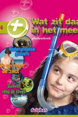 Plusleesboek E4