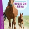 Ruzie om Rena | 9789044817973
