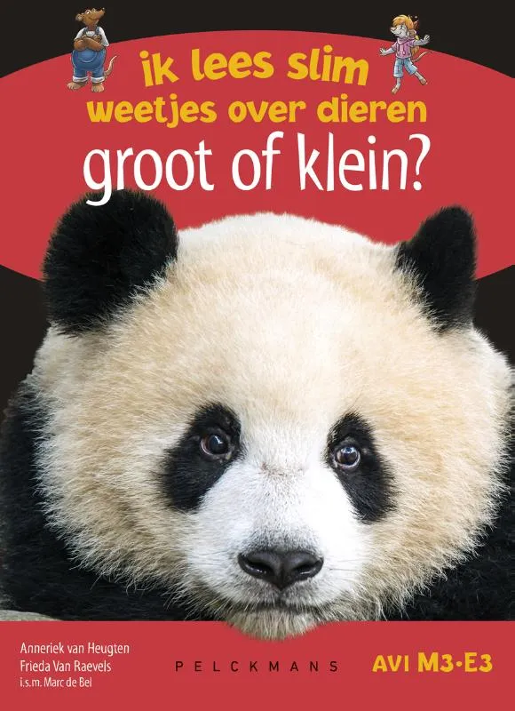 Groot of klein? | 9789462346215 Groot of klein?