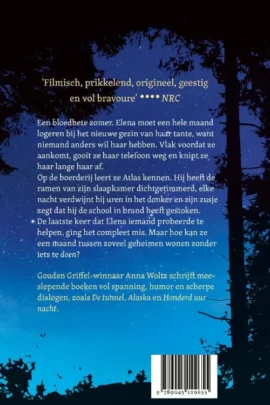 Alternative view of De spin en de sleutel