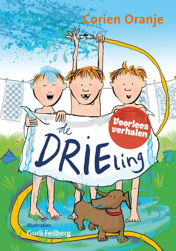De drieling | 9789085433279 De drieling
