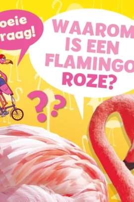 Waarom is een flamingo roze?