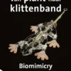Van plant naar klittenband | 9789464397017