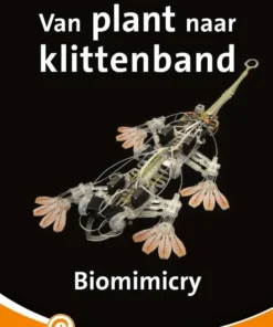 Van plant naar klittenband