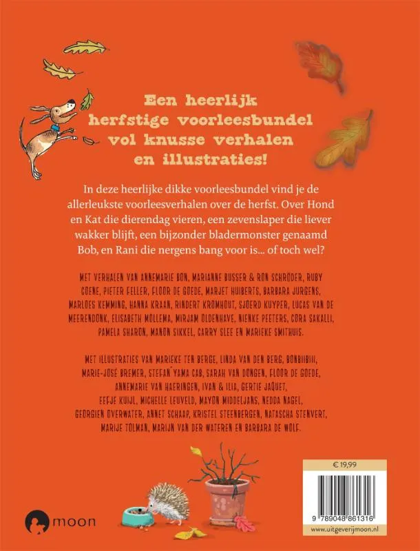 Het heerlijke herfstboek | 9789048861316 Het heerlijke herfstboek - Afbeelding 2