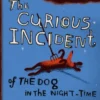 The curious incident of the dog in the night-time | 9780063396357