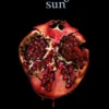 Midnight Sun | 9780349003344 Midnight Sun | 9780349003344
