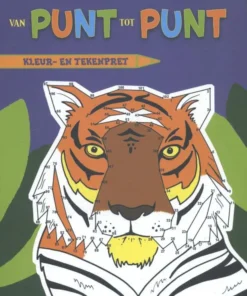 Van punt tot punt