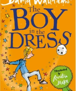 The Boy in the Dress