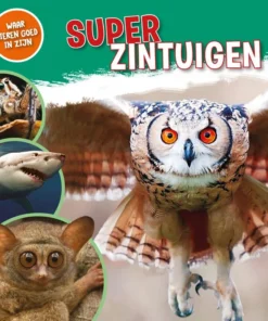 Superzintuigen