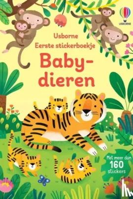 Mijn lichaam