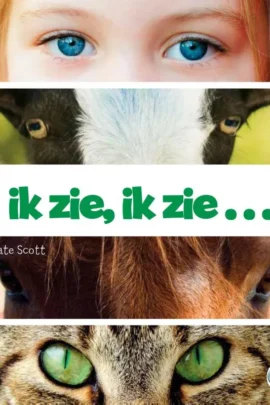 Ik zie ik zie