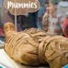 Mummies | 9789464395310 Mummies | 9789464395310