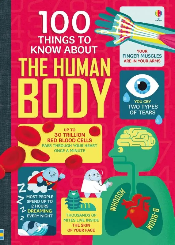 100 Things to Know About the Human Body | 9781474916158 100 Things to Know About the Human Body