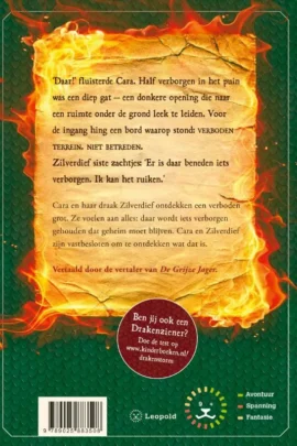 Alternative view of De verboden grot