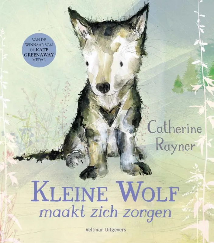Kleine Wolf maakt zich zorgen | 9789048321438 Kleine Wolf maakt zich zorgen