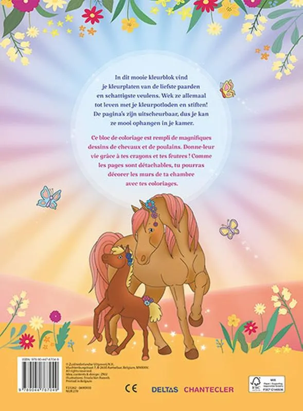 Ik hou van paarden kleurblok / J'aime les chevaux bloc de coloriage | 9789044767049 Ik hou van paarden kleurblok / J'aime les chevaux bloc de coloriage - Afbeelding 2