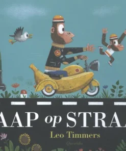 Aap op straat