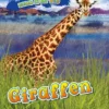 Giraffen | 9789463412285