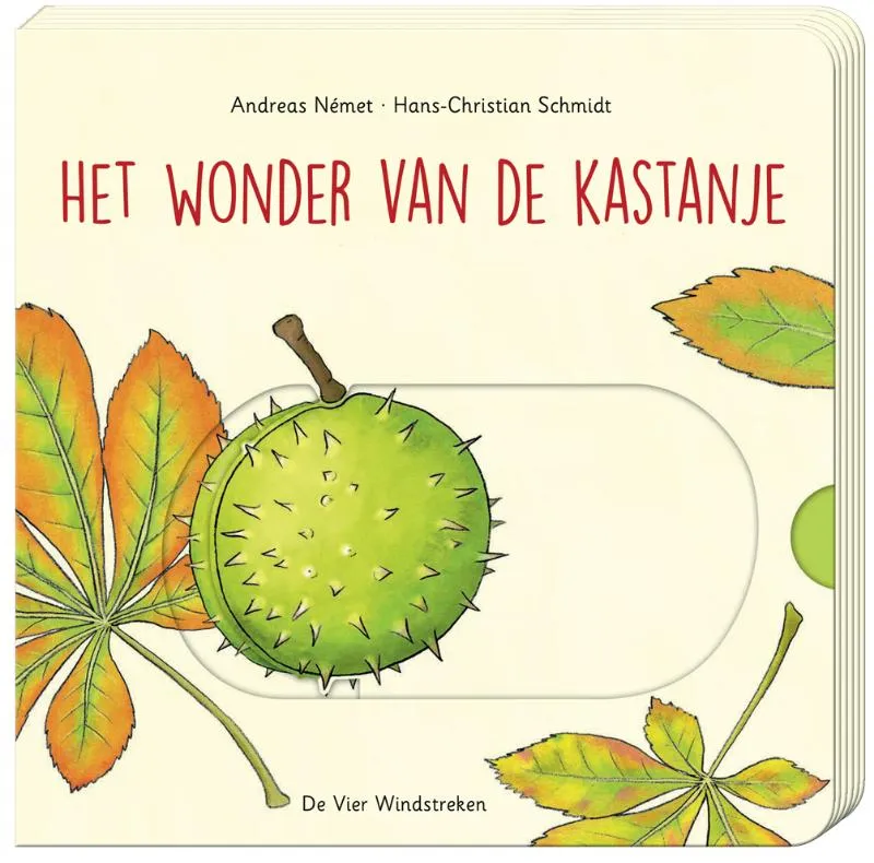 Het wonder van de kastanje | 9789051169133 Het wonder van de kastanje