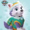 PAW Patrol, Everest redt de dag | 9789047875000 PAW Patrol, Everest redt de dag | 9789047875000