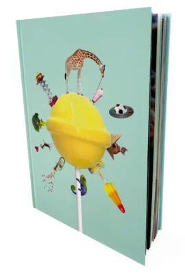 Het grote kijkboek