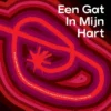 Een gat in mijn hart | 9789082235999