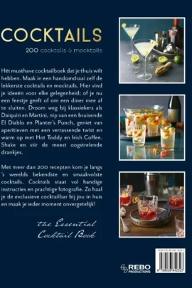 Alternative view of Cocktails