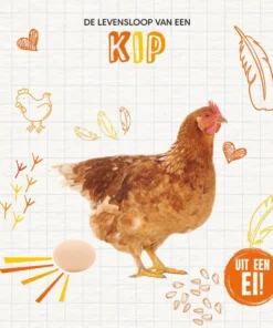 De levensloop van een kip