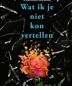 Wat ik je niet kon vertellen