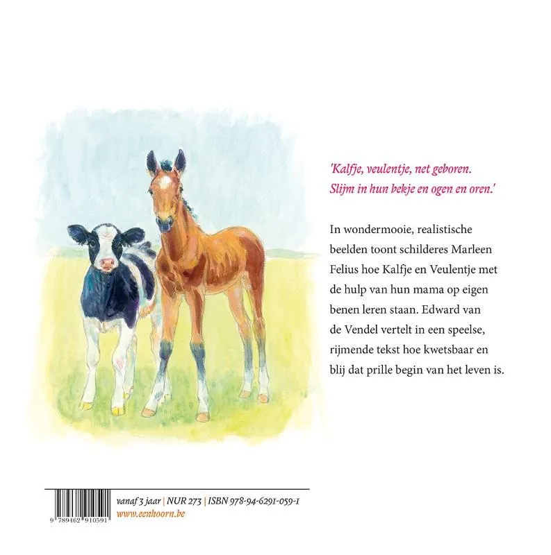 Kalfje, veulentje | 9789462910591 Kalfje, veulentje - Afbeelding 2